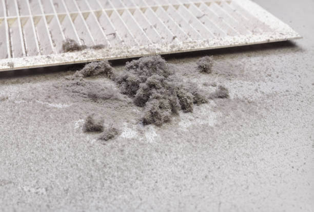 Best Commercial Air Duct Cleaning  in Berkeley, IL