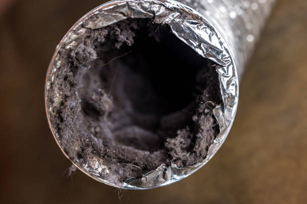 Best Best Air Duct Cleaning Company  in Berkeley, IL