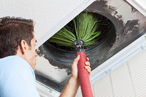 Best Home Air Vent Cleaning  in Berkeley, IL
